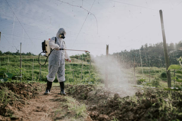 Best Affordable Pest Control Services  in Mingo Junction, OH