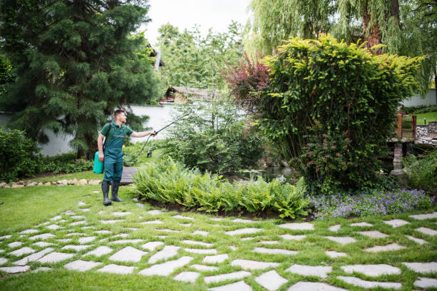 Best Residential Pest Control  in Mingo Junction, OH