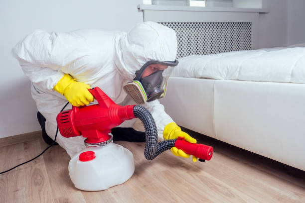 Best Commercial Pest Control Services  in Mingo Junction, OH